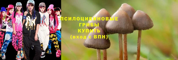 СК Кукмор