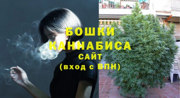 PSILOCYBIN Куйбышев