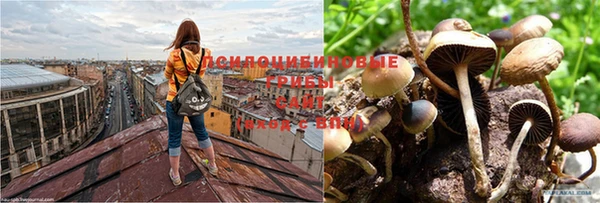 СК Кулебаки