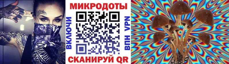 OMG ссылки  Можга  Галлюциногенные грибы мицелий 