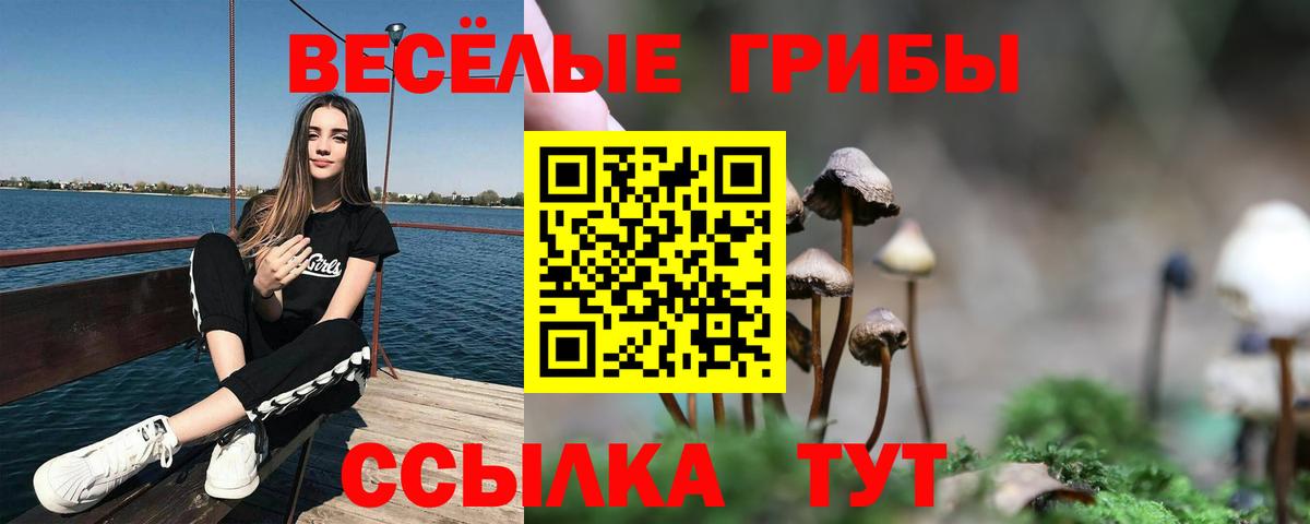 Псилоцибиновые грибы Psilocybine cubensis Можга