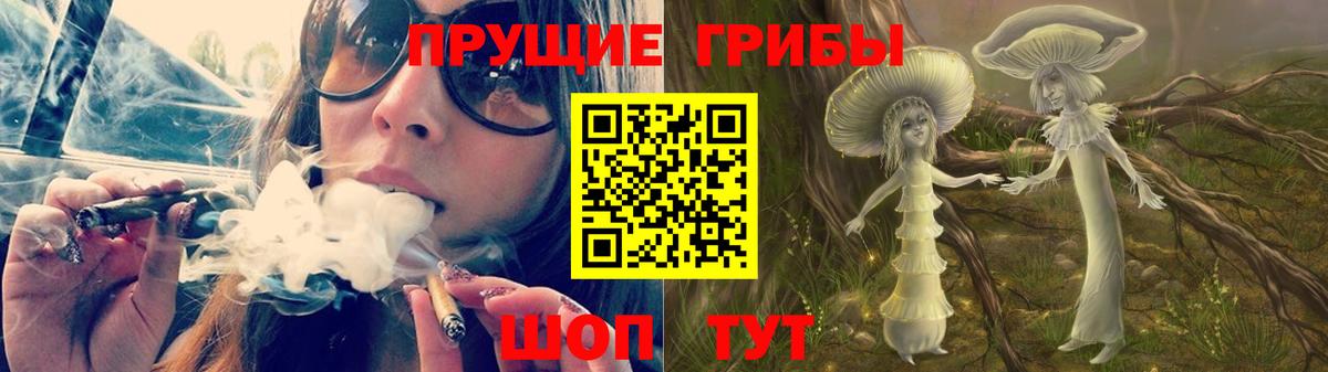 закладка  Псилоцибиновые грибы GOLDEN TEACHER  Вход с VPN  Можга 