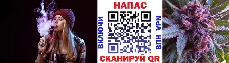 OMG ONION  Можга  Бошки Шишки план 
